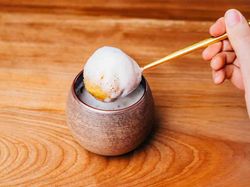 “エボリューション”
ベールをまとったブイヤベース