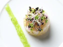 カンパチとセロリのシャルロット
胡瓜とミントのソース