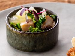 帆立と蕪のブランマンジェ 茄子とズッキーニのカポナータ