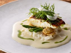 バーミキュラ フライパンで焼き上げた真鯛 そら豆と蛤のリゾット