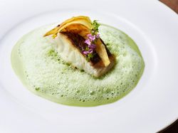 真鯛のポワレとリゾット 淡い春菊に纏われて