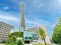 シェフ
