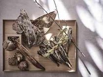 すべてのお料理に出汁を使用