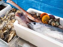 店主自ら毎日、市場で仕入れ
賀城園のこだわり、天然の魚のお造り