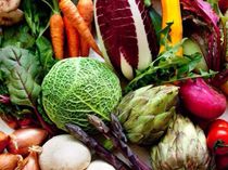 SPCIALITY ~食材へのこだわり~