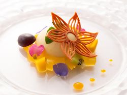 トロピカーレパンナコッタ 季節のマチェドニア