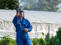 【自産自消】自社農園運営スタート