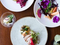 有機野菜のコース