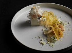 カリフラワー　帆立貝　コラトゥーラ