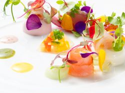 シーフードの菜園仕立て