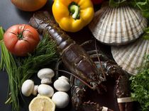 「鮮度」も料理の味を左右する大きな要因です