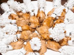 チューリップチキン