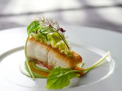 天草平目のポワレ 浅利貝のジュを使ったパセリソース