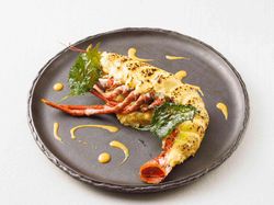 オマール海老のオーブン焼き 芳醇なアメリケーヌソース
爽やかなすだちと紫蘇の薫りを漂わせて