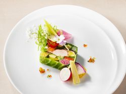 オマール海老と彩り野菜のプレッセ
旬菜のピュレとラヴィゴットソース