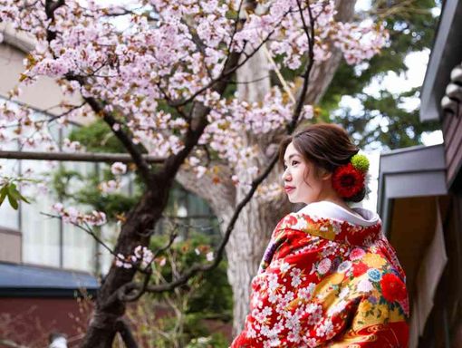エルムガーデン 春の桜と和装で華やかさを演出の画像1