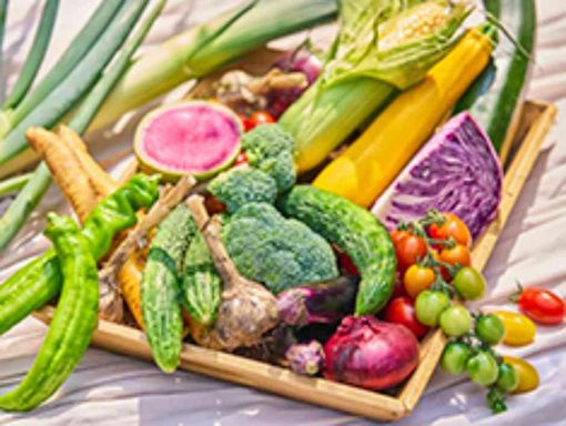 藻岩シャローム教会 一皿に込めた、素材の物語の画像3