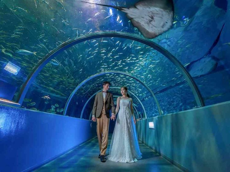 アールベルアンジェ室蘭 青い空と綺麗な海で人生最高の思い出をの画像4