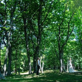 アールベルアンジェ苫小牧 その他の写真3を大きいサイズでみる