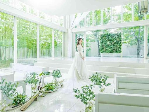 THE JAPONAIS LISERJU 圧倒的な光と白亜の空間の画像1