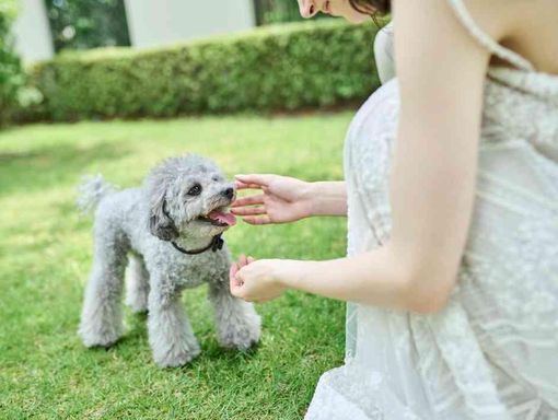 ニーズ富山 by T&G 最大150万円分の豪華成約特典の画像3