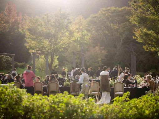 プリムローズガーデン 森と水の教会 ガーデンパーティーの画像2