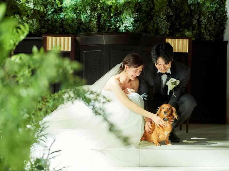 エヴァウイン 自然光が差し込み緑あふれた空間が純白のドレスを美しく彩るの画像4