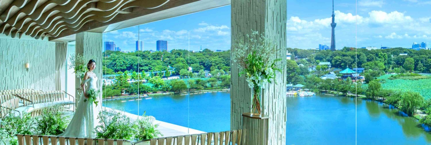 LUCIS(ルーキス)の画像