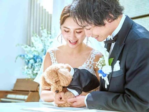ザ・リュクス銀座 【ペット婚OK!】の画像2