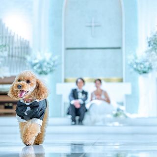ザ・リュクス銀座 その他の写真2を大きいサイズでみる