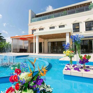 NIHO その他の写真2を大きいサイズでみる