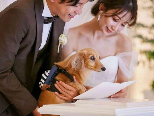 セントアベニール お役目はまだまだ!<承認犬>の画像2