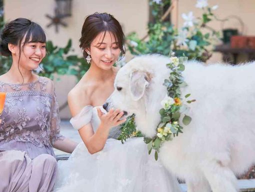 セントアベニール もちろん記念撮影も一緒にの画像3