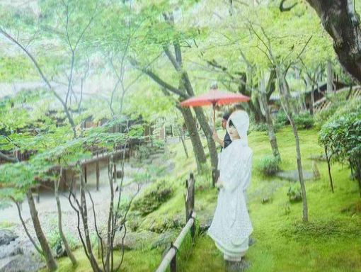四千坪の広大な敷地に広がる日本庭園に、四季折々の景観を望む