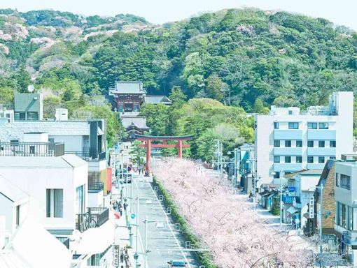 KOTOWA 鎌倉 鶴ヶ岡会館 日本桜百景に選ばれる美景の画像3
