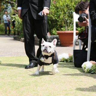 クッチーナパージナ その他の写真4を大きいサイズでみる