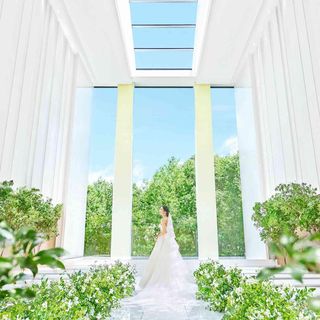 KOTOWA 奈良公園 その他の写真1を大きいサイズでみる