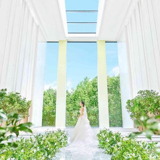 KOTOWA 奈良公園 その他の写真1を大きいサイズでみる
