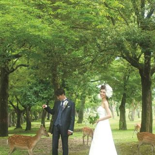 KOTOWA 奈良公園 その他の写真4を大きいサイズでみる