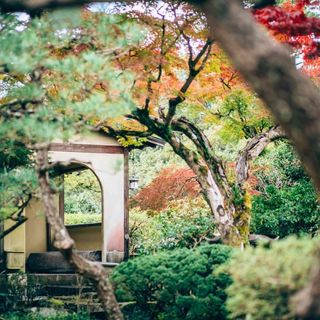 菊水楼(ザ キクスイロウナラパーク) その他の写真4を大きいサイズでみる