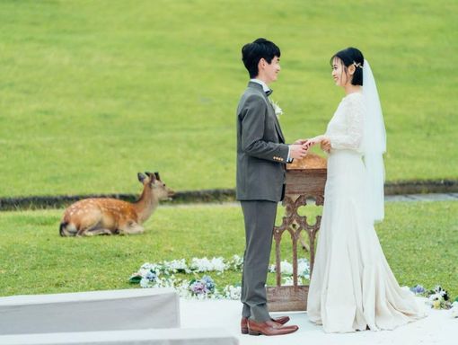 ザ・ヒルトップテラス奈良 奈良唯一の若草山ウェディングの画像3