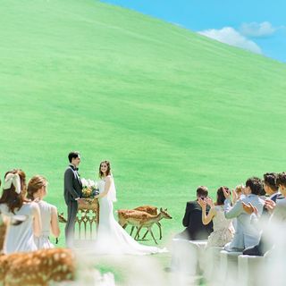 ザ・ヒルトップテラス奈良 その他の写真3を大きいサイズでみる