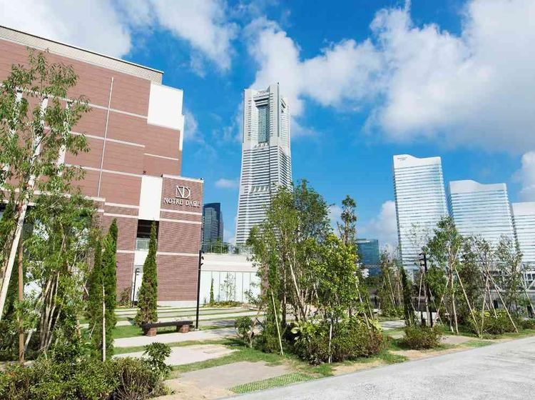 ノートルダム横浜みなとみらい みなとみらいの特等席。自然豊かな緑×青い空と海が魅力の空間の画像2