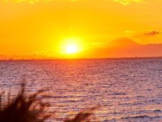 会場からは時に富士山もお目見え
