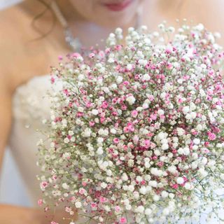 セント・ラファエロチャペル その他の写真4を大きいサイズでみる