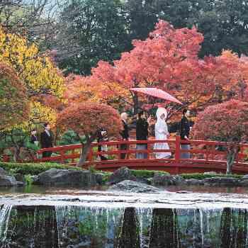 本格神殿や日本庭園で叶う和婚