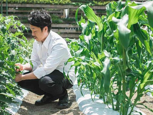 MEDI メディー 【厳選食材】自社農園や契約牧場の画像1