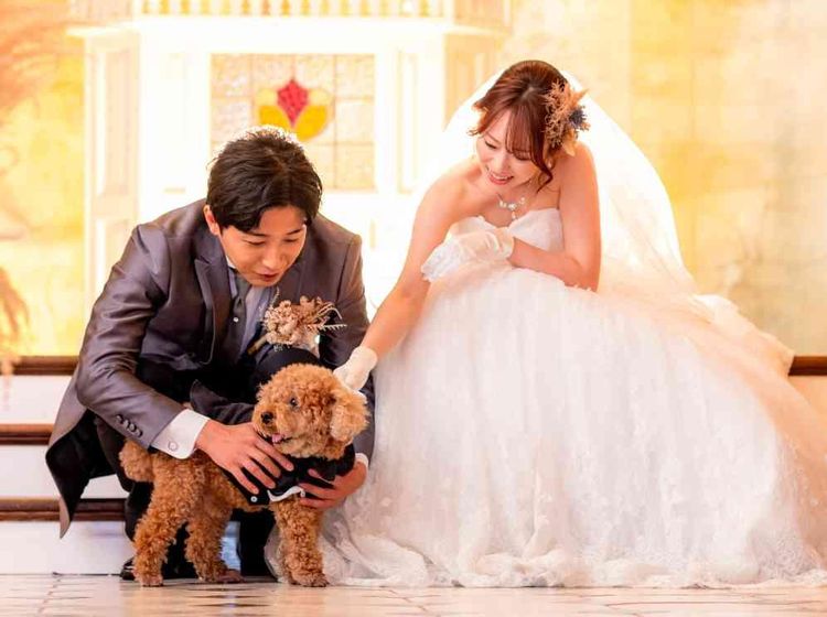 ウエディングファンタジア プロジェクションマッピングや噴水ショーなど笑顔になれる場所の画像2