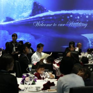 ベルヴィ武蔵野 その他の写真4を大きいサイズでみる