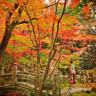 神戸迎賓館旧西尾邸 その他の写真2を大きいサイズでみる